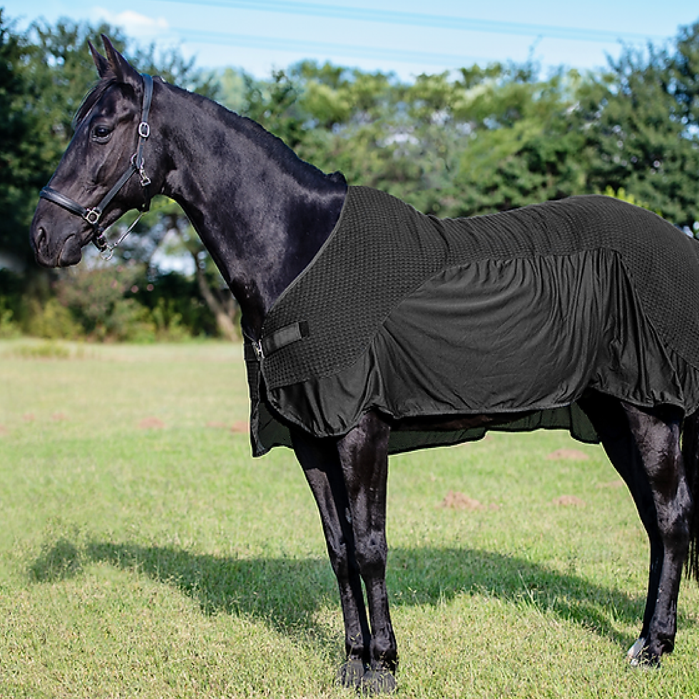 Thumbnail: Waffle Weave Sweat Sheet