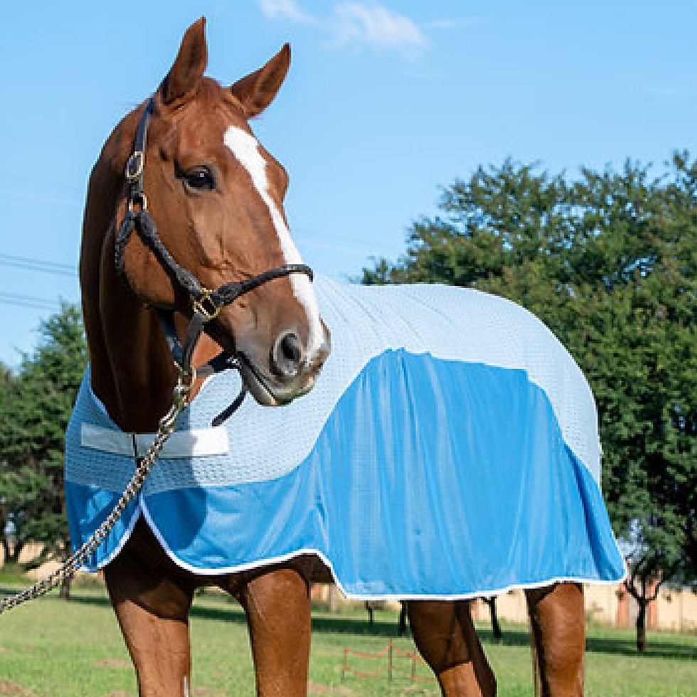 Thumbnail: Waffle Weave Sweat Sheet
