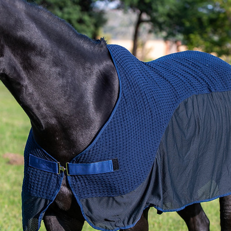 Thumbnail: Waffle Weave Sweat Sheet