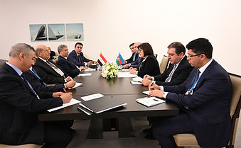Ms. Sahiba Gafarova, Chairperson of the Non-Aligned Movement Parliamentary Network, met with Mr. Abdel Wahab Abdel Razek, Speaker of the Senate of the Arab Republic of Egypt