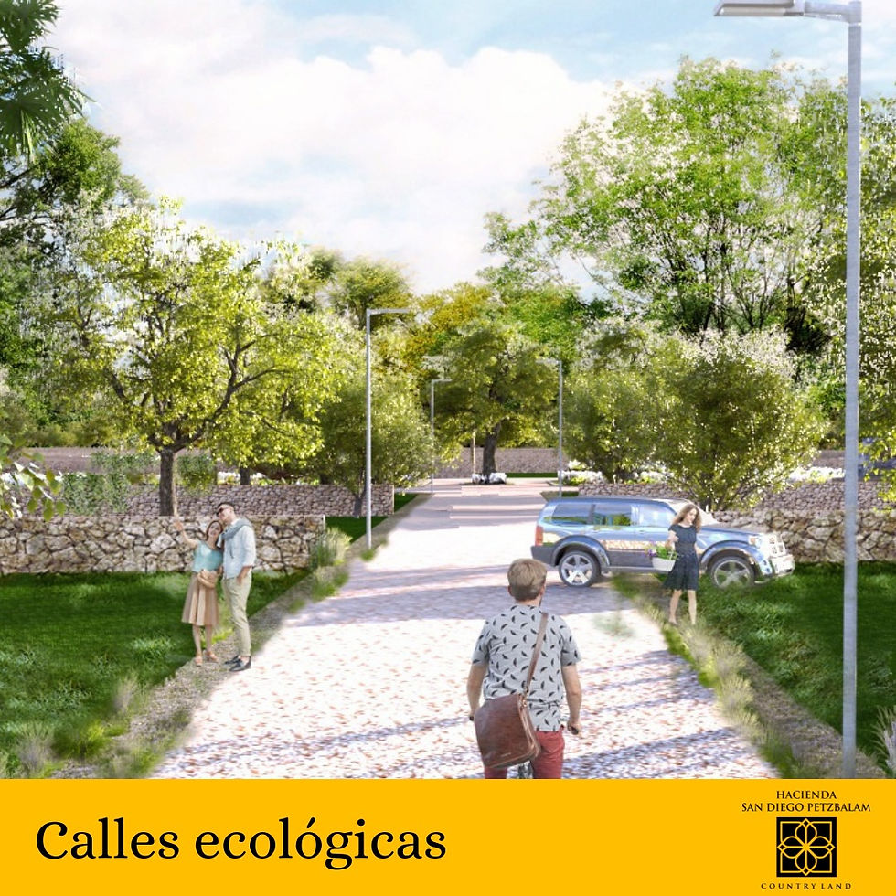 Miniatura: Terrenos residenciales amplios a pagos cerca del Mar y cenotes en Yucatán