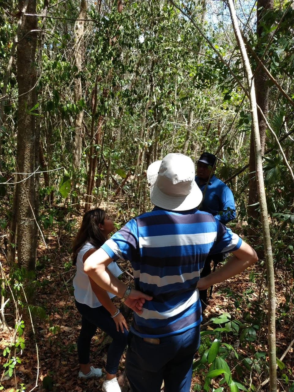 Miniatura: Terreno en Riviera Maya a unos minutos de cirque du soliel, tu hogar en la selva