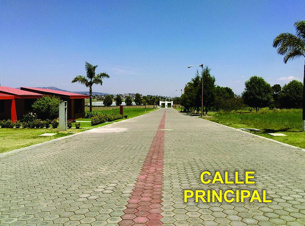 Miniatura: Terreno Residencial en Venta en Chipilo