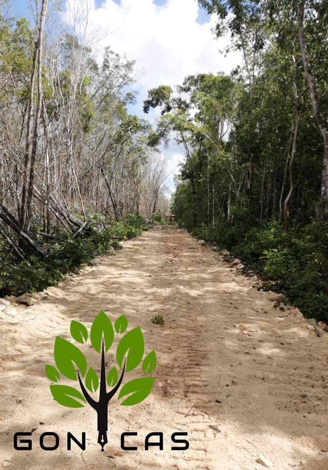 Miniatura: Lote ecologico cerca Xcaret Rio Secreto, Playa del Carmen Carretera Cancun Tulum