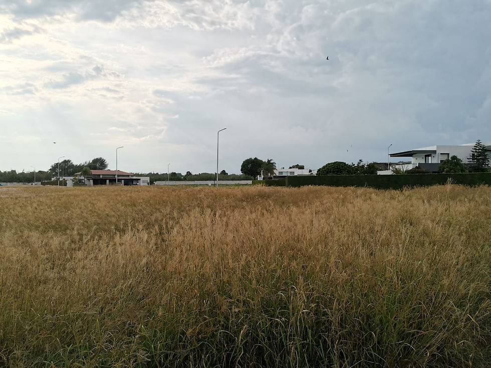 Miniatura: Terreno Venta exclusivo fraccionamiento en Atlixco con amenidades increíbles