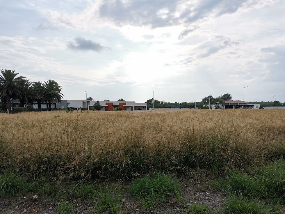 Miniatura: Terreno Venta exclusivo fraccionamiento en Atlixco con amenidades increíbles