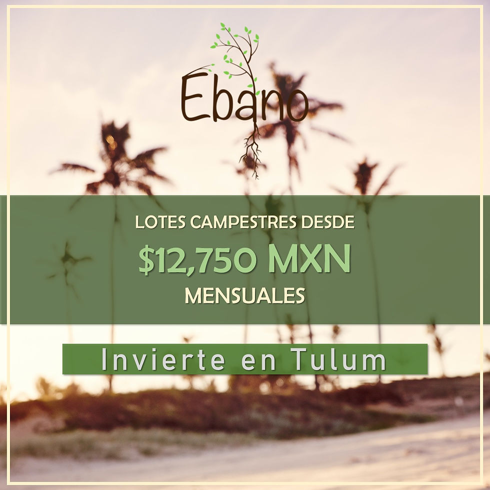 Miniatura: Terrenos en Tulum a 11 kilometros de la ZH Lots for sale in Tulum