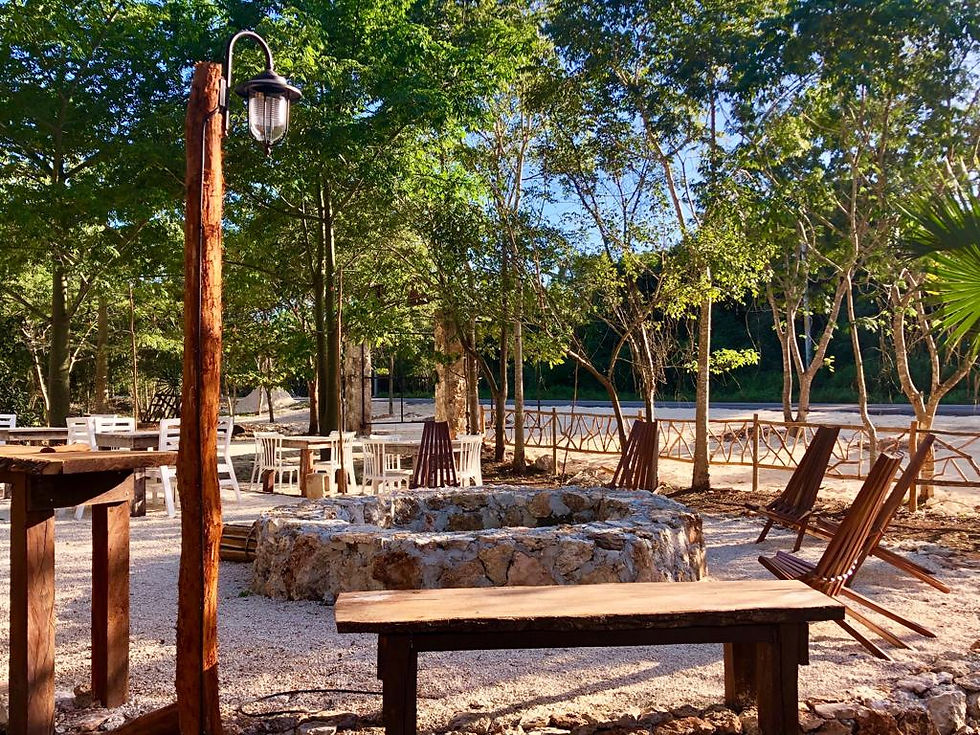 Miniatura: Xul - Ha, Eco habitat en la Península. Lotes 80 m2 en la ruta de los cenotes.