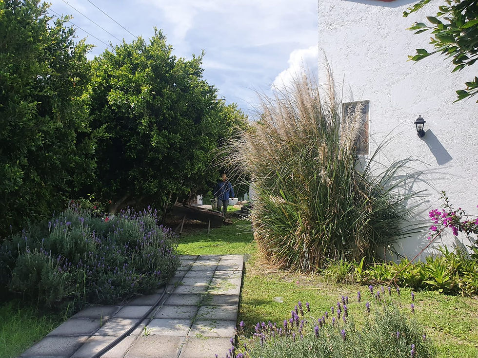 Miniatura: LOCAL PARA EVENTOS EN ATLIXCO RENTA MENSUAL PARA EMPRENDEDORES PUEBLA