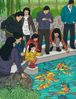 Screen Shot 2017-07-08 at 2.29.05 AM