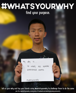 Screen Shot 2017-07-11 at 9.03.16 AM