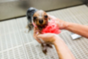 AdobeStock_117834270.jpeg