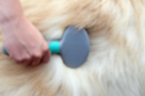 AdobeStock_66781550.jpeg