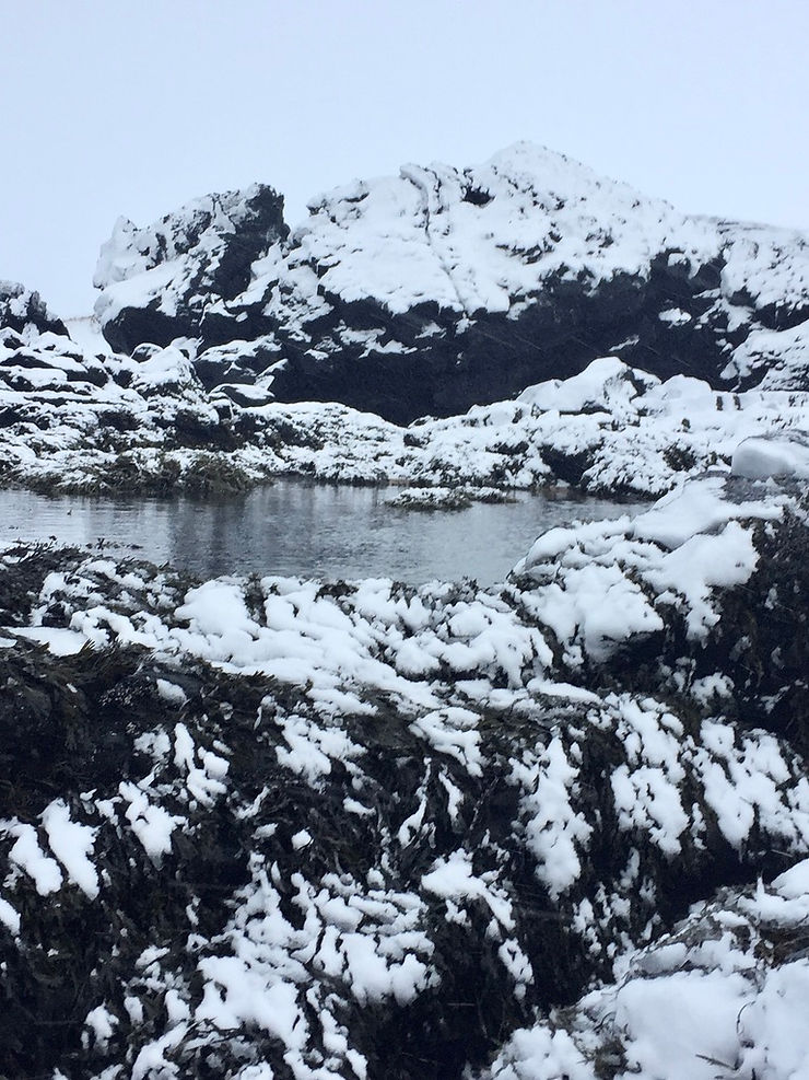 Picture from Snaefelsnes Iceland in January