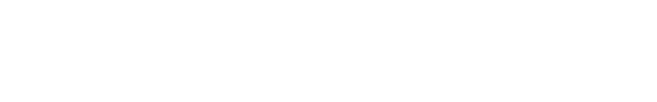 bereshit.png