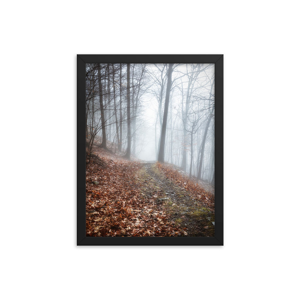 Catskills Photo Print | Catskills Series
