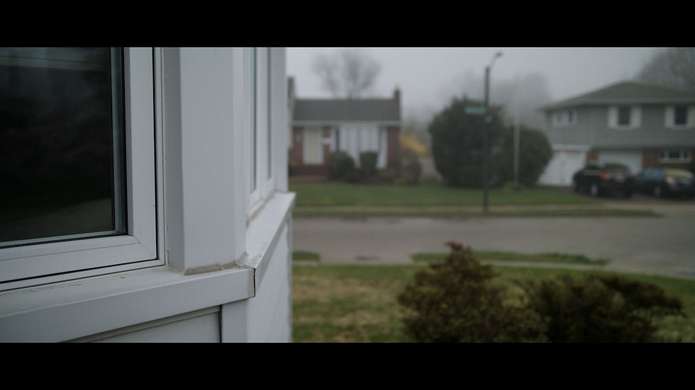 Color Correction Lifted Shadows Sample Ext Front Yard