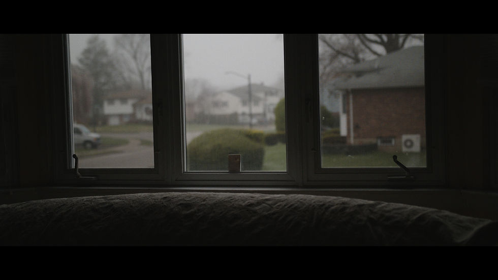 Color Correction Lifted Shadows Sample Interior Day Front Window