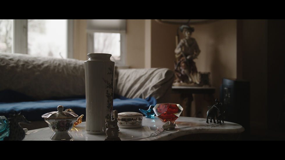 Color Correction Lifted Shadows Sample Interior Day