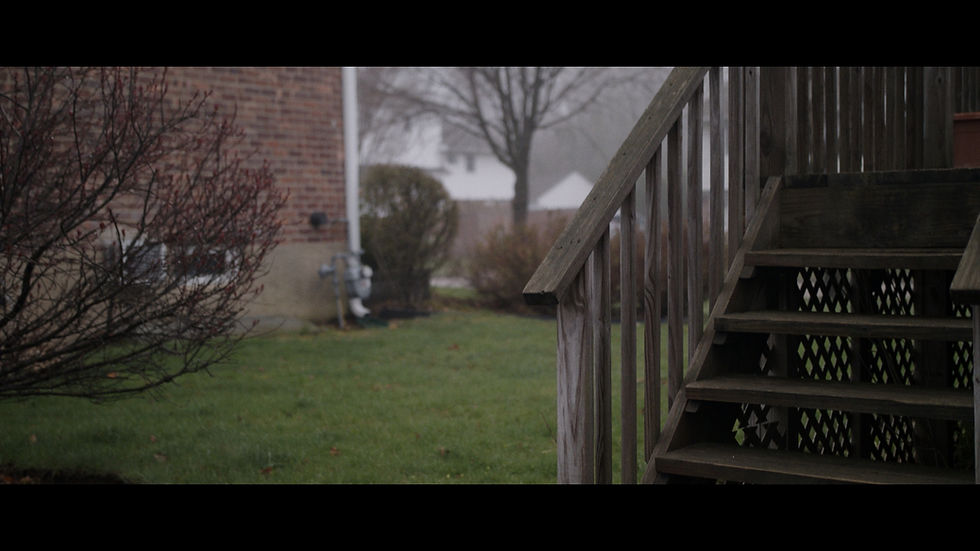 Color Correction Lifted Shadows Sample Ext Deck