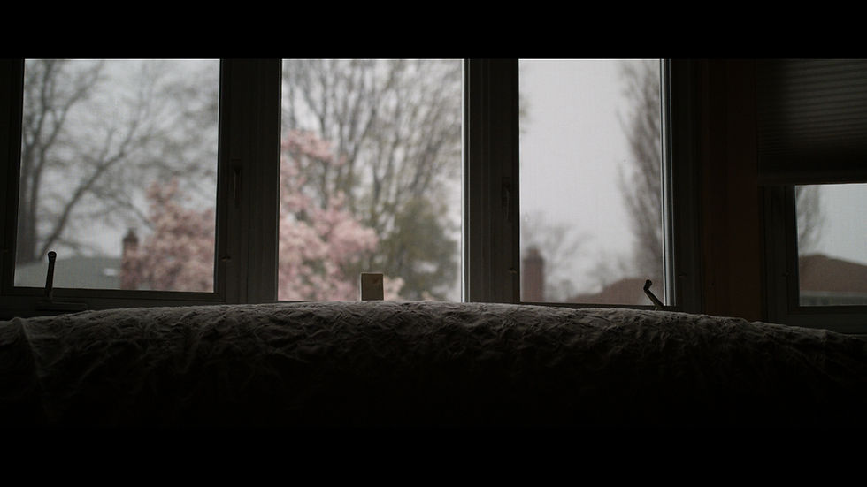 Color Correction Sample Interior Day Front