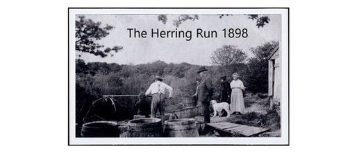 The "Oracle of Barnstable Village" on the history of our herring runs.