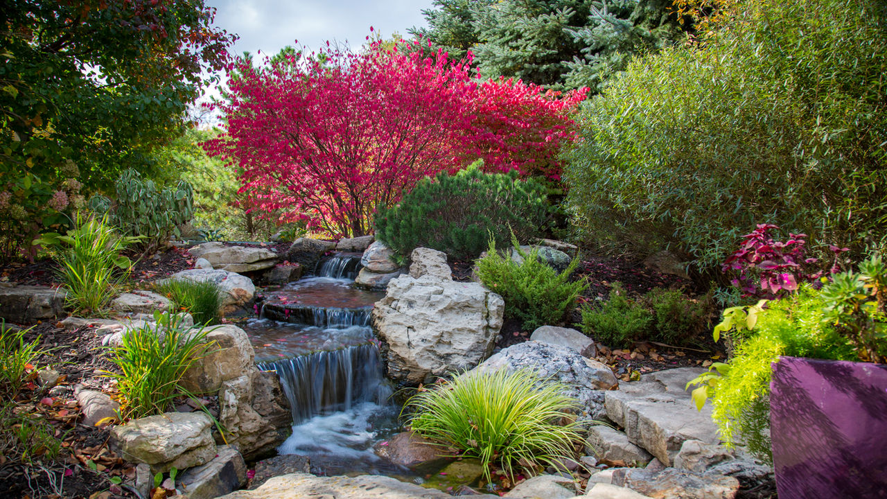 Waterfall with gorgeous trees to frame