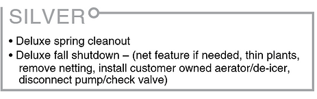 Silver Maintenance Package