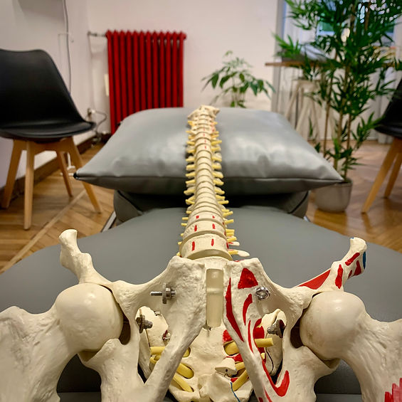 chiropractic1.jpg