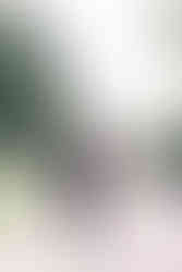 Tennessee State Capitol Engagement Session in Downtown Nashville