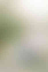 Tennessee State Capitol Engagement Session in Downtown Nashville