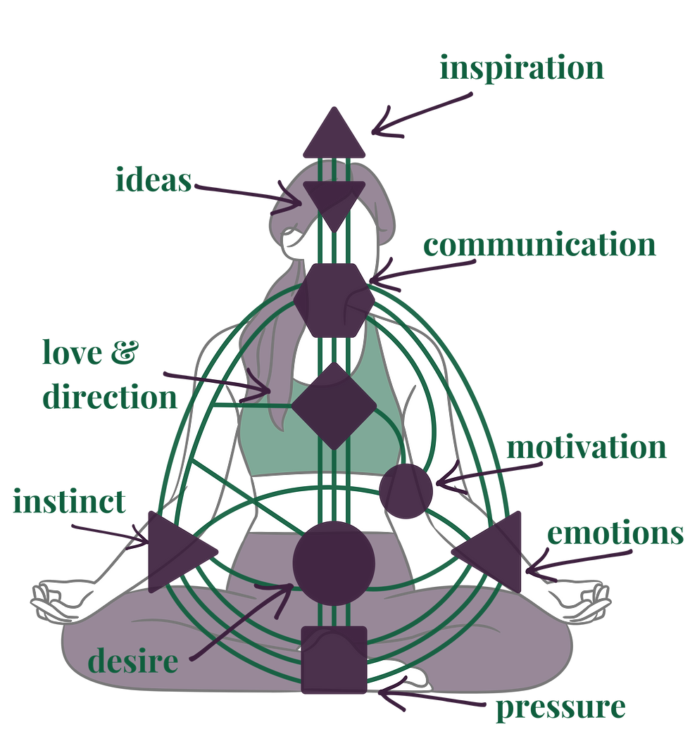 Package Visuals (18).png