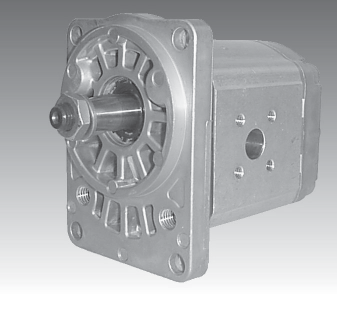 Bomba-de-engrenagem-externa-F