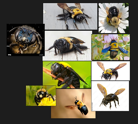 Screenshot from 2025-08-22 00-48-33.png