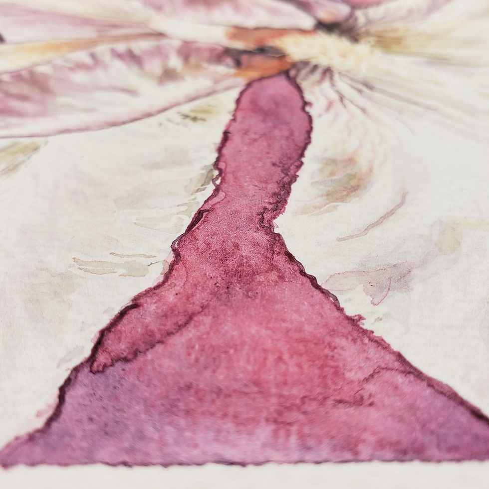Thumbnail: Flourish Prints