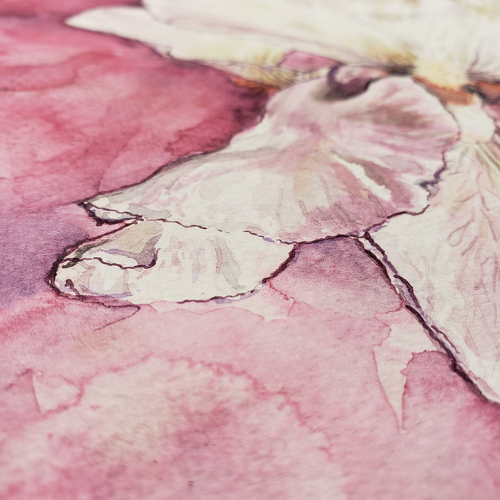 Thumbnail: Flourish Prints