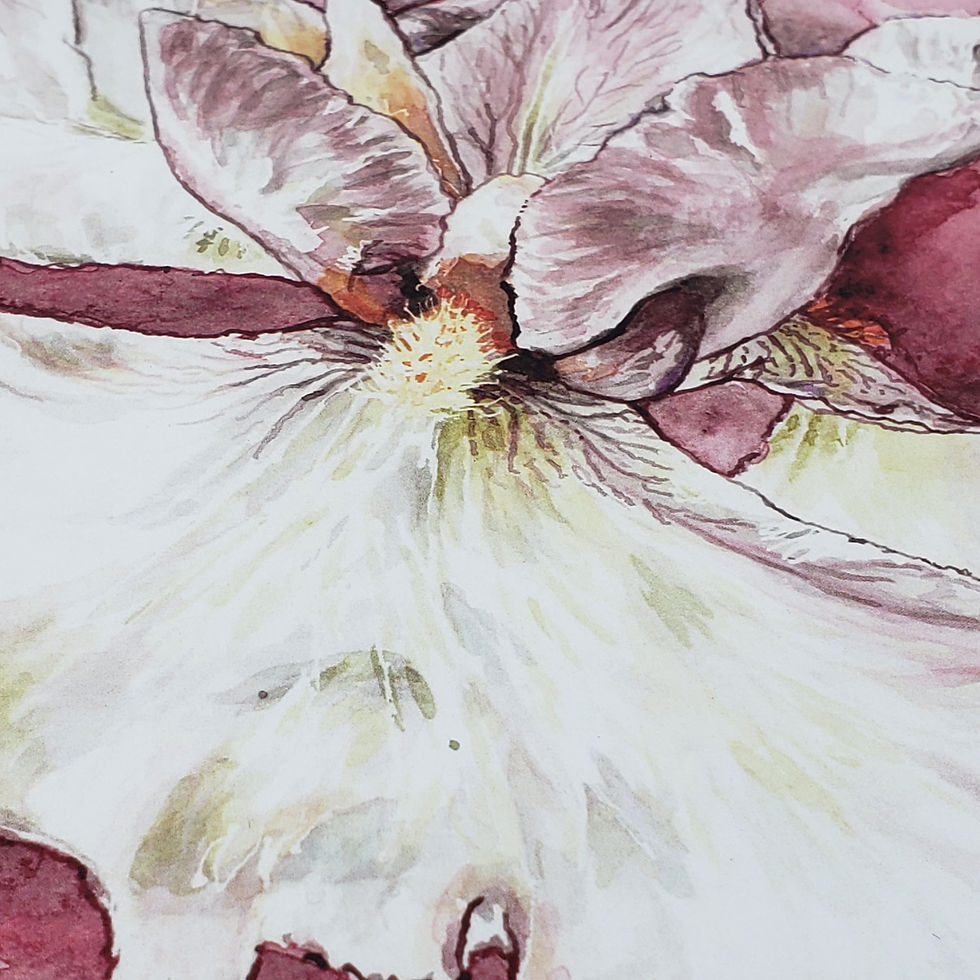 Thumbnail: Flourish Prints