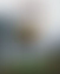 प्रेमा दीदी