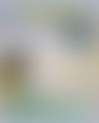 कौआ हकनी