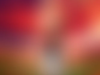 सेवानिवृत्त जिंदगी