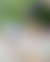 वास्तविक घटना पर आधारित हिंदी कहानी