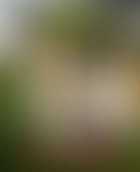 विसर्जन