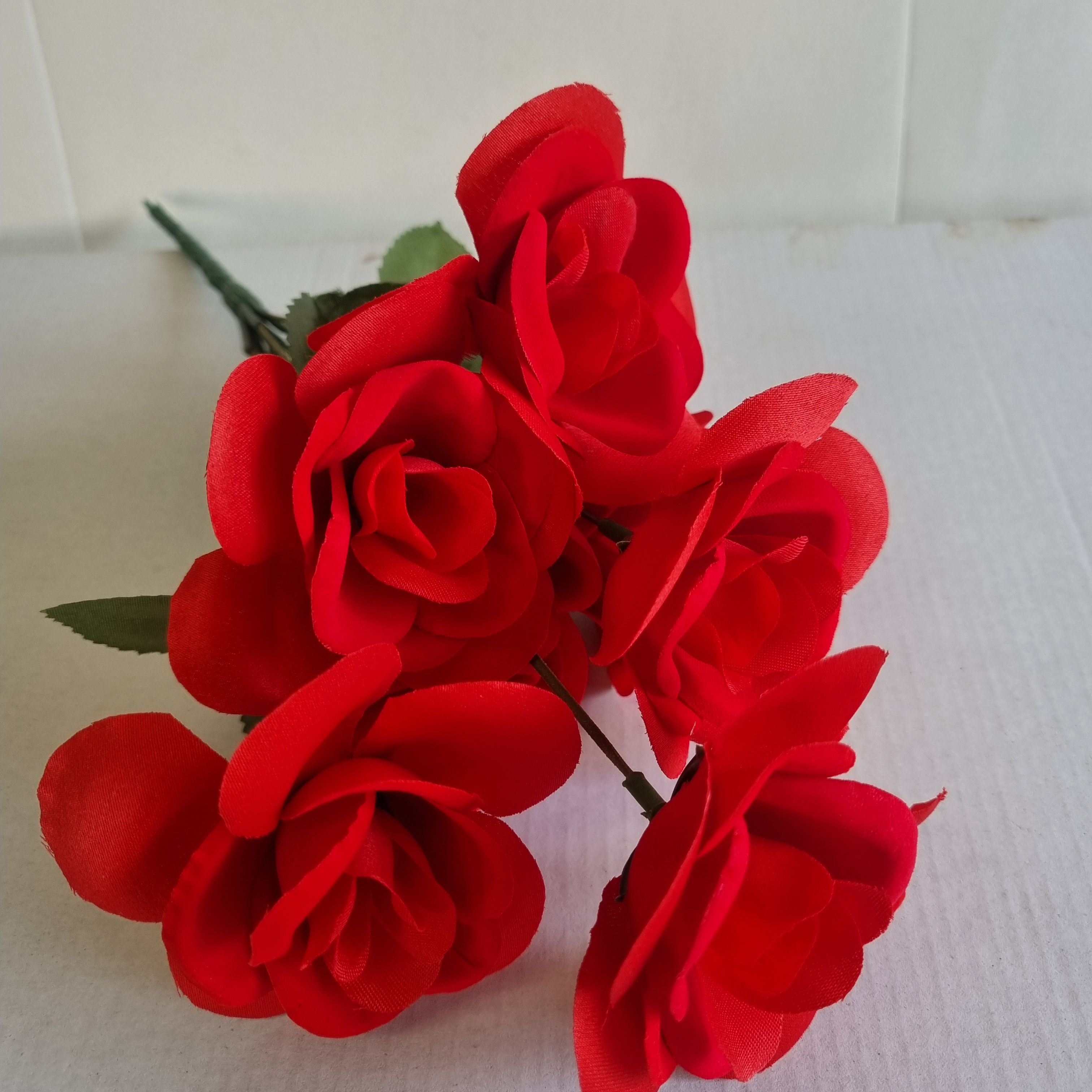 Red roses (flowers)