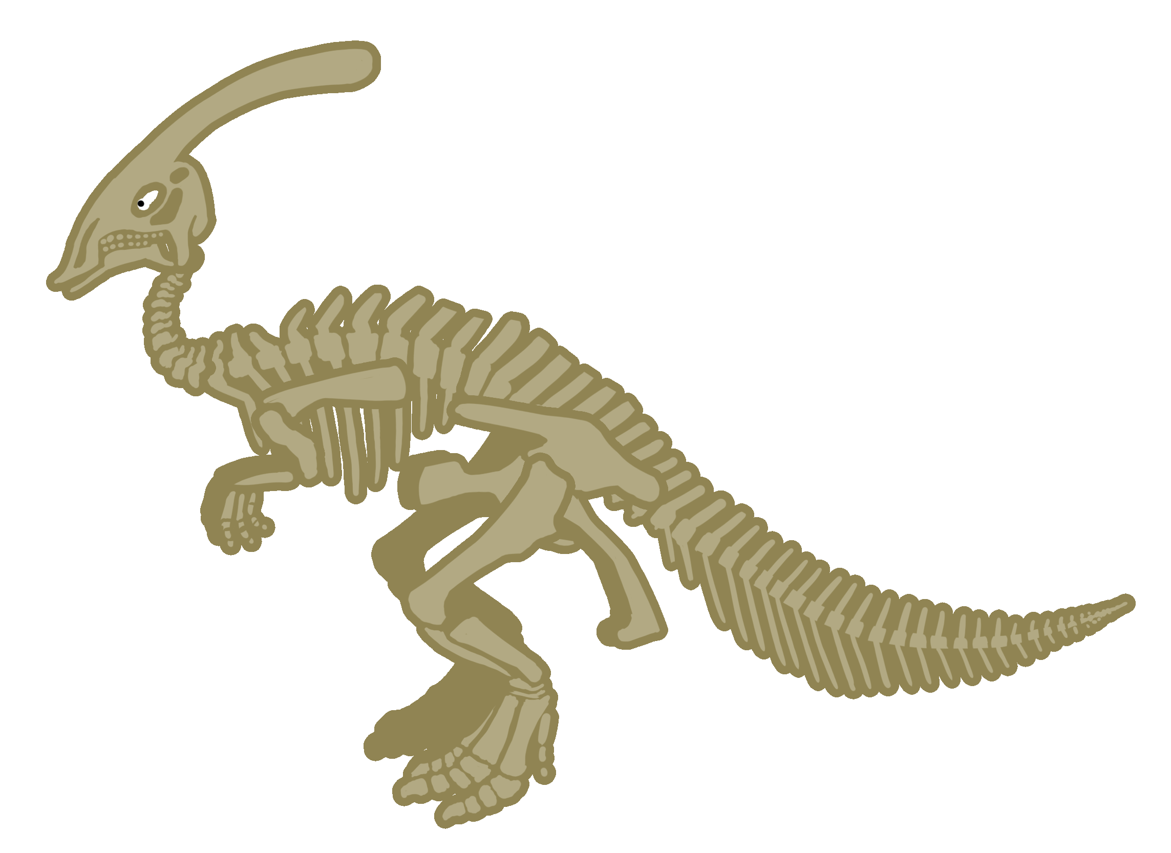 Parasaurolophus_skeleton_1.gif