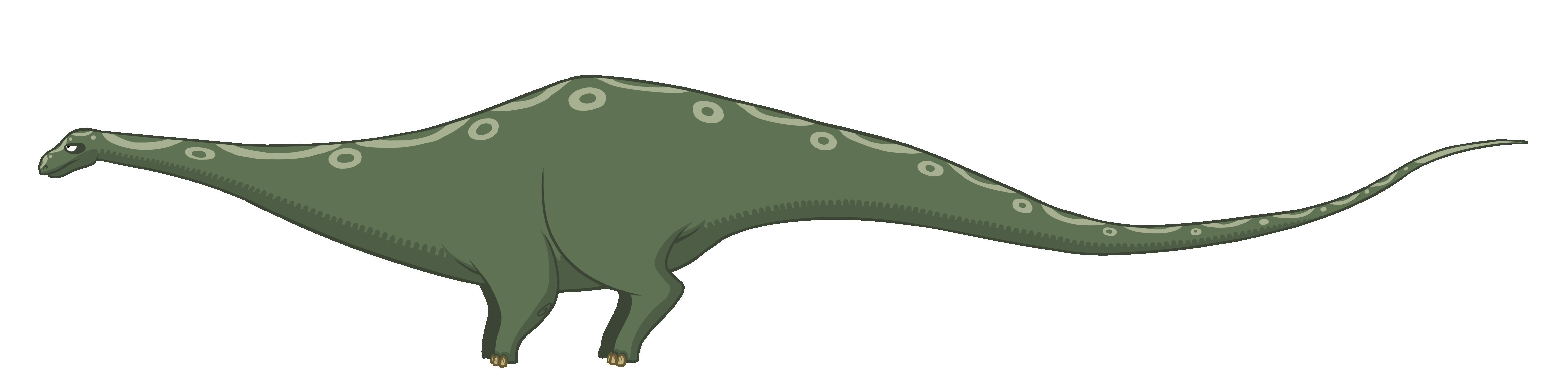 Apatosaurus_1.gif