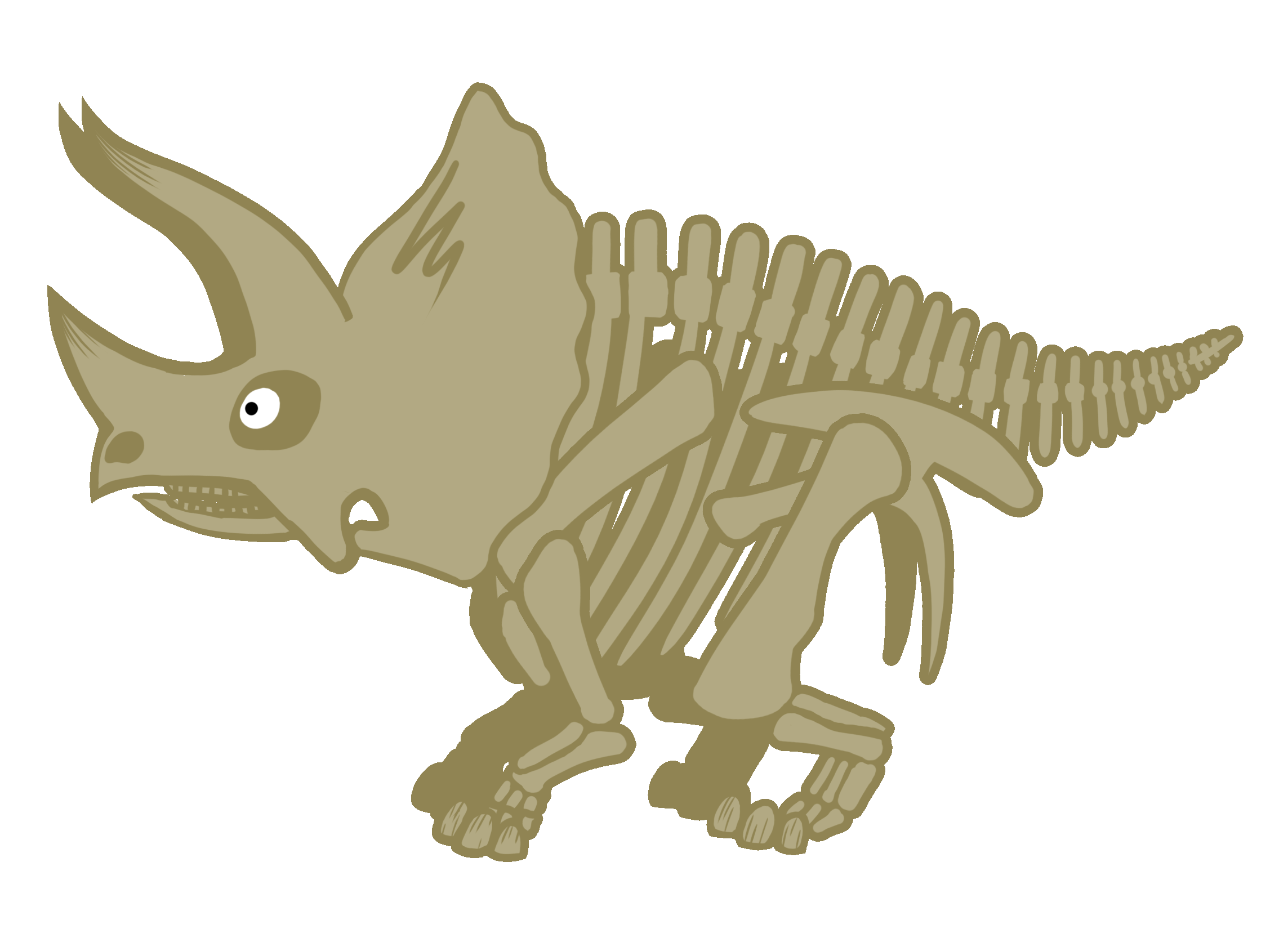 Triceratops_Skeleton_1.gif