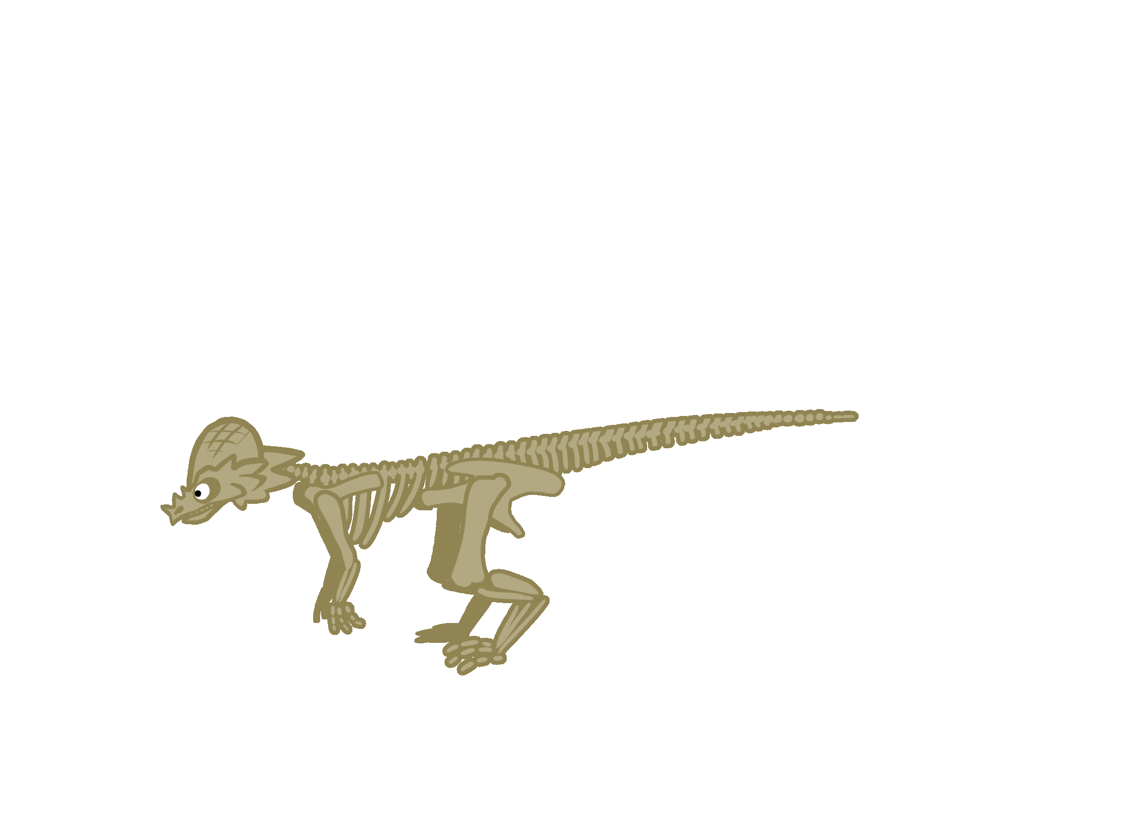 Pachycephalosaurus_skeleton_1.gif