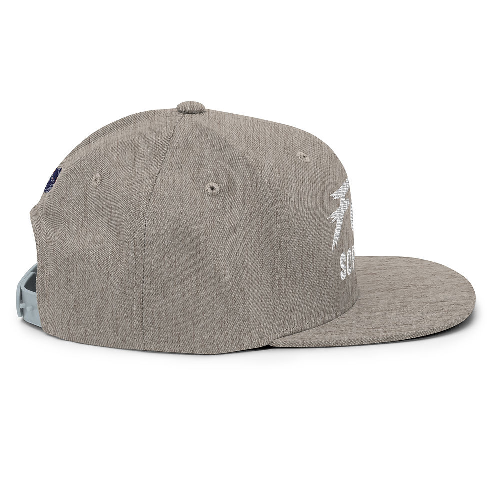Thumbnail: FCR Softball Snapback Hat