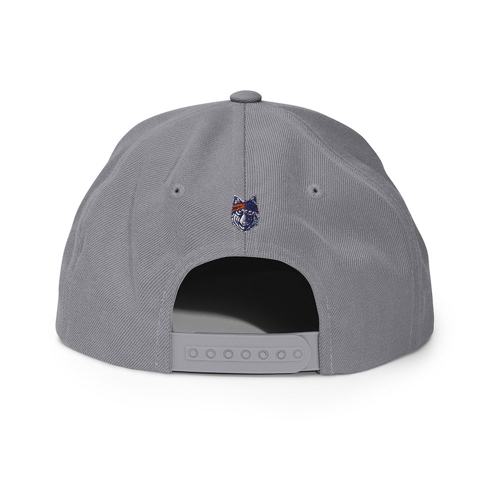 Thumbnail: FCR Softball Snapback Hat
