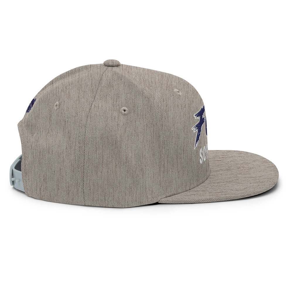Thumbnail: FCR Softball Snapback Hat